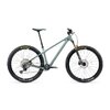 Yeti ARC 29 C-Series C1 Factory SLX Complete M Rhino  Rhino M